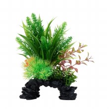 FLUVAL LUDWIGIA 8"