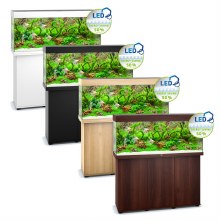 JUWEL RIO 240 WHITE