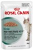 RC CAT POUCH +7 85g