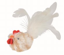 TRIXIE CAT  ROOSTER