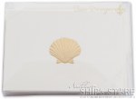 Cards - Set of 10 Seashell
