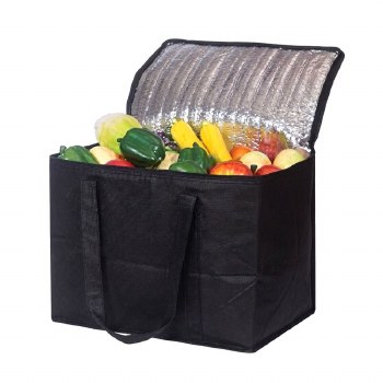 Cooler Bag