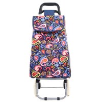 Serape Rolling Cart