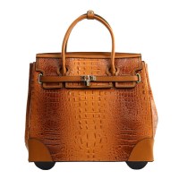 Fashion Luggage