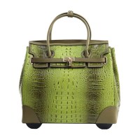Fashion Luggage