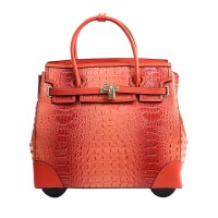 Fashion Luggage
