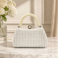 Fashion Clutch
