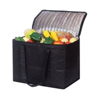 Cooler Bag