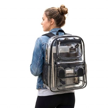 Clear Backpack