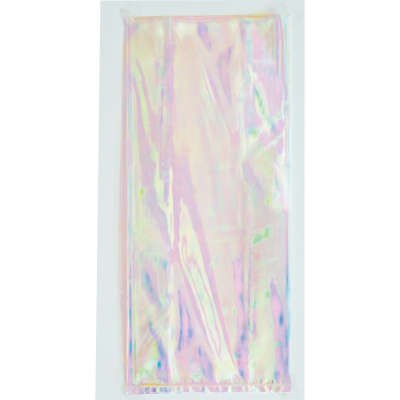 iridescent clear bag