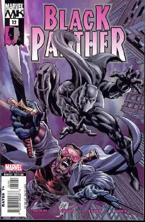 Black Panther V3 #12