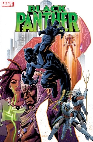 Black Panther #19 Weaver Var