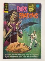 Dark Shadows #24 - Vg
