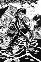 Catwoman V2 #13