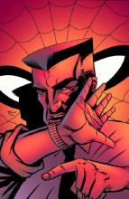 Spider-Man Tangled Web #20