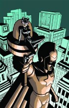 Catwoman V2 #23