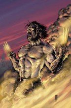 Wolverine V3 #17