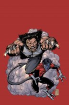 Wolverine V3 #19