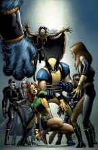 Wolverine V3 #25
