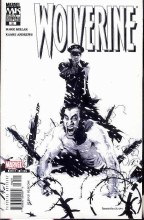 Wolverine V3 #32 Black & White