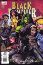 Black Panther V3 #14