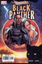 Black Panther V3 #17