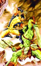 Wolverine Origins #41