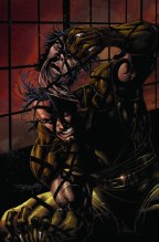 Wolverine V3 #85 Dark