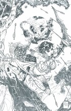 Telara Chronicles #2 (Of 4)