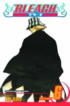 Bleach GN VOL 06 (Curr Ptg)