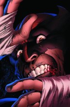 Wolverine V5 #12