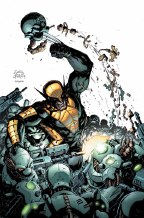 Wolverine V6 #3