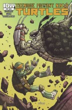 Tmnt Ongoing #35