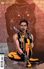 Truth & Justice #1 Var Ed