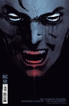 Sandman Nm Ctry Glass House #1 Cvr C 1:25 Albuquerque Cs Var
