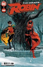 Tim Drake Robin #8