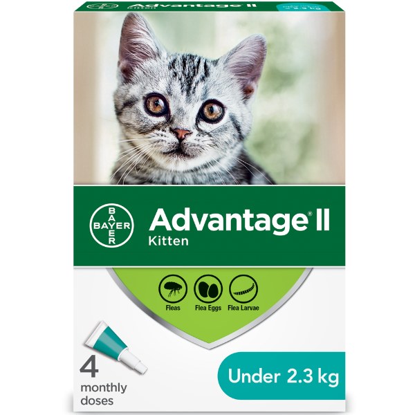 Flea Protection Kitten 4 Dose