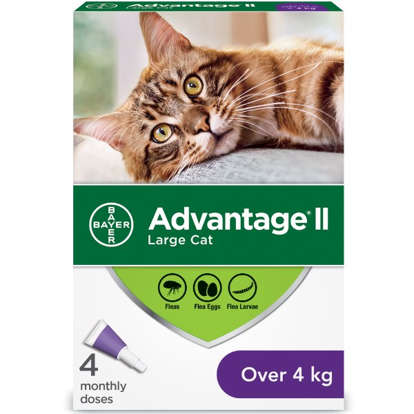 Flea Protection Large Cat 4 Dose