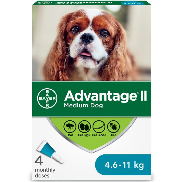 Flea Protection Medium Dog 4 Dose