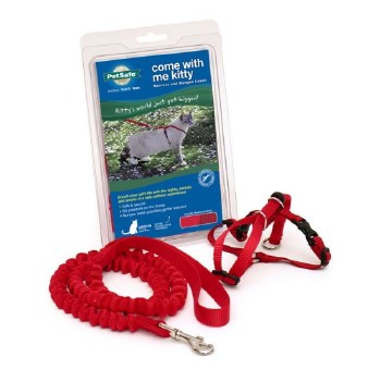 Come With Me Kitty Harness & Bungee Leash, Medium (Red)