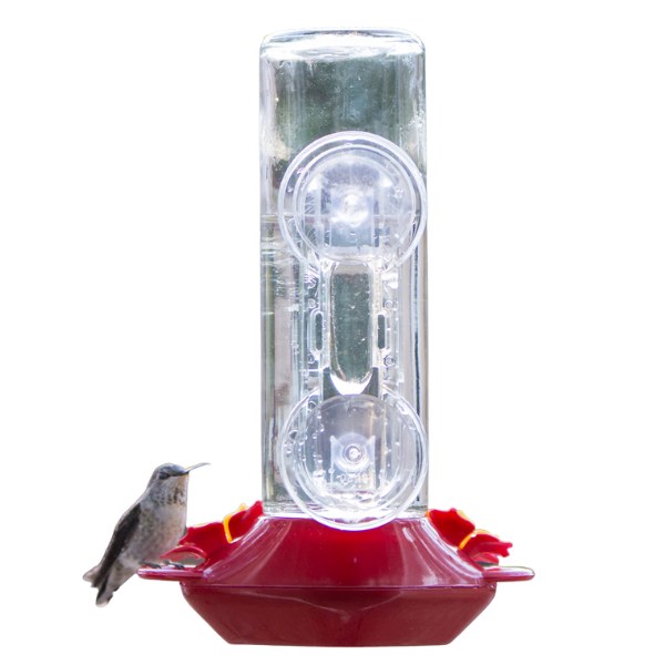 Glass Window Feeder 14oz