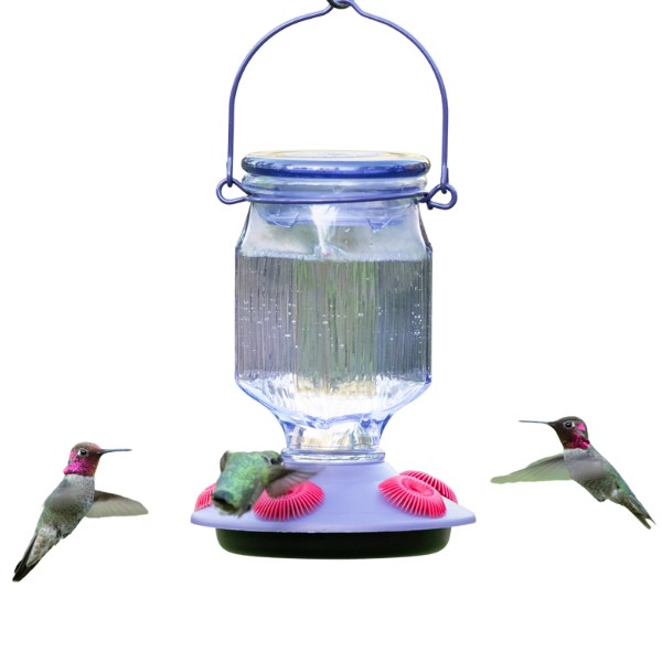 Lavender Field Feeder 16oz