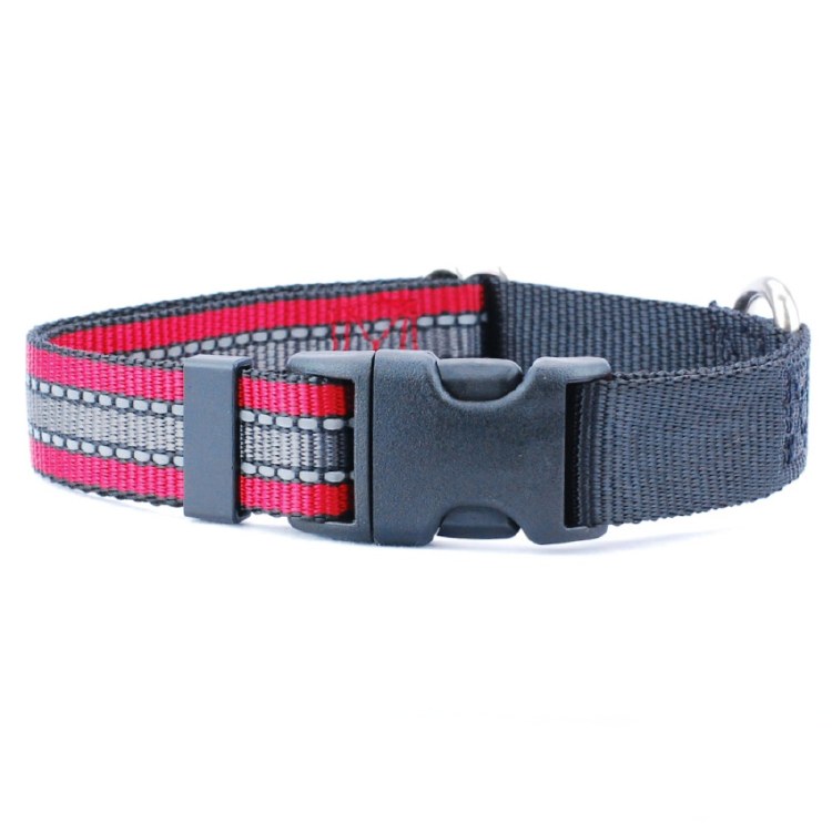 Red Reflective Collar, Extra-large
