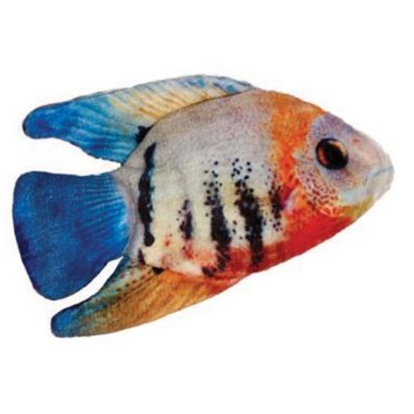 Angelfish W/Catnip