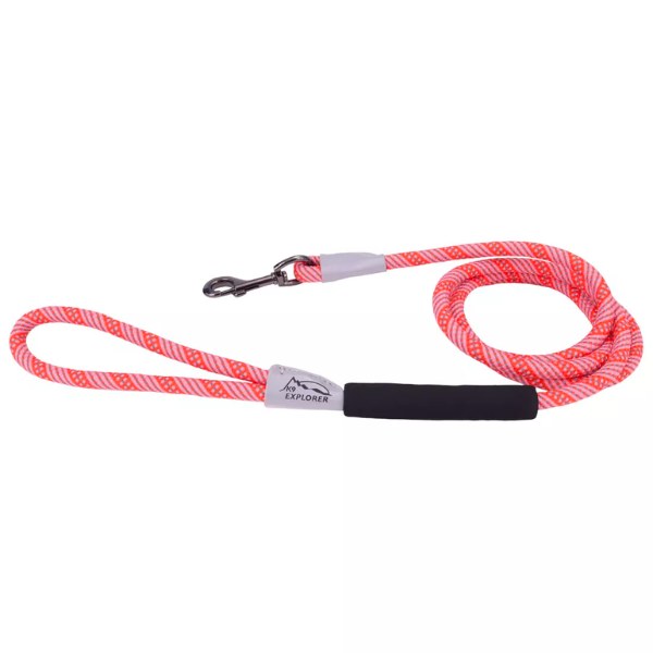 Brights Reflective Leash Canyon