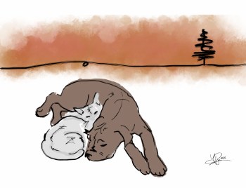 Cuddling Cat & Dog Card
