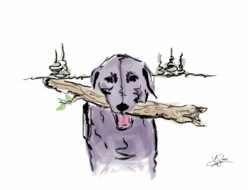 Dog with a Branch Card