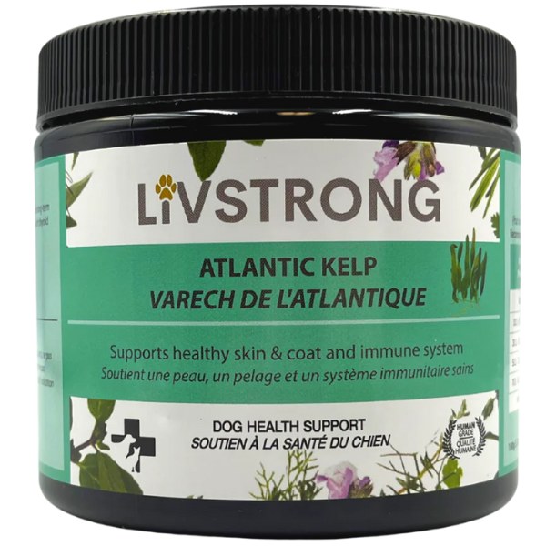 Atlantic Kelp 100g