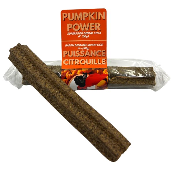Pumpkin Power Dental Stick 50g