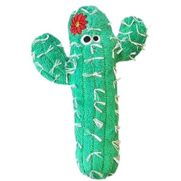 Cactus Kicker
